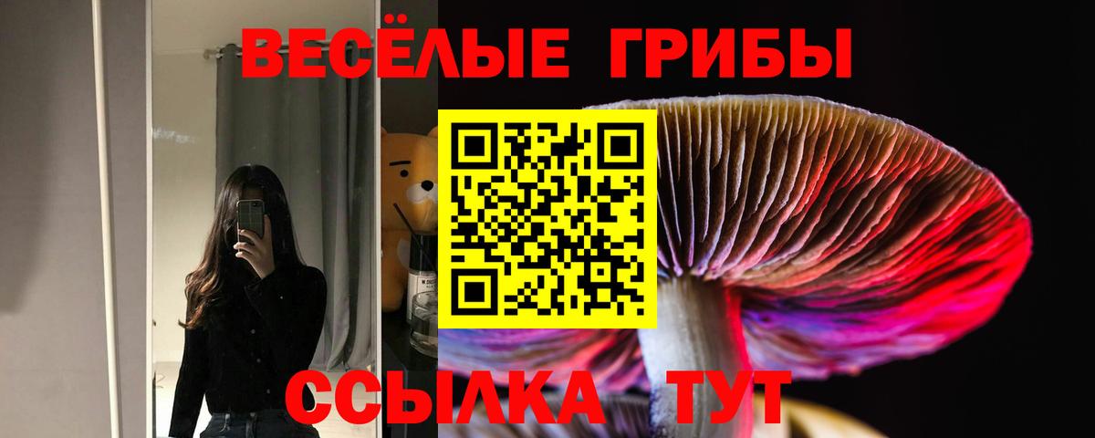 Галлюциногенные грибы Psilocybine cubensis  дарнет шоп  Дюртюли  Вход с VPN 